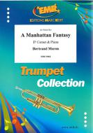 A Manhattan Fantasy Download