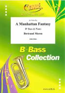 A Manhattan Fantasy Download