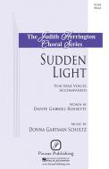 Sudden Light Download