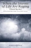 When the Storms of Life Are Raging Download