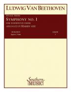 Finale from Symphony No.1 