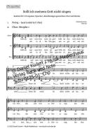 Sollt ich meinem Gott nicht singen 