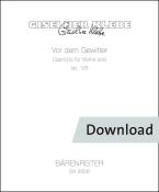 Vor dem Gewitter op. 128 