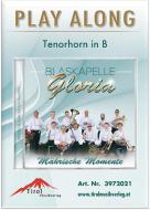 Play Along - Tenorhorn in B 