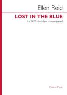Lost In The Blue 