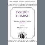 Exsurge Domine 