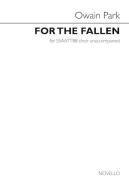 For The Fallen 