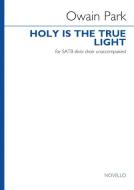 Holy is the true light 