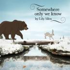 Somewhere Only We Know 