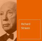 Bernhard von Weimar in der Schlacht bei Lützen Download