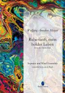 Ruhe sanft, mein holdes Leben Download