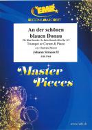 An der schönen blauen Donau op. 314 Standard