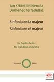 Sinfonie in A-Dur, Sinfonie in D-Dur 