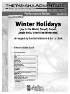 Winter Holidays 