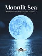 Moonlit Sea 