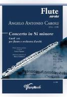 Concertino in Si Minore GroF 716 