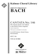 Cantata No. 146: Wir müssen durch viel Trübsal in das Reich Gottes eingehen, BWV 146 