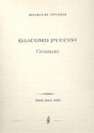 Crisantemi 