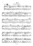 Konzert in D-Dur Hob XVIII:11 