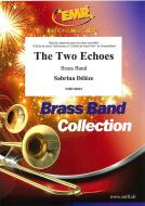The Two Echoes Standard
