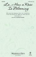 Lo, How A Rose Is Blooming Download