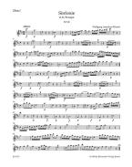 Sinfonie Nr. 8 D-Dur KV 48 