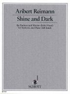 Shine and Dark 