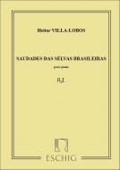 Saudades das sélvas brasileiras 