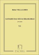 Saudades das sélvas brasileiras 