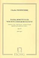 Pater, dimite illis nesciunt enim quid faciunt 