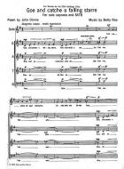 Goe And Catche A Falling Starre 
