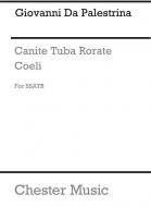 Canite Tuba Rorate Coeli 