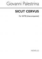 Sicut Cervus 