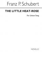 The Little Heath Rose 