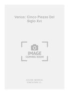 Cinco Piezas Del Siglo XVI 