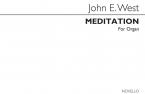 Meditation for Organ 