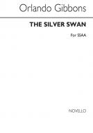 Silver Swan 