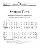 Swansea Town TTBB Tonic 