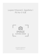 Agulleta I Fil For 3 V.B 