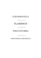 Flamenco Album Para Guitarra 