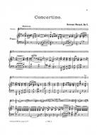 Concerto In G Op. 5 
