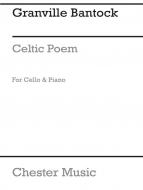 Celtic Poem 'the Land-of-the-ever-young' 