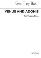 Venus & Adonis 