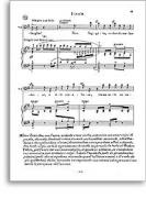 Final Scene from El Retablo de Maese Pedro 