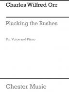 Plucking The Rushes 