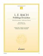 Frühlings-Erwachen E-Dur Standard