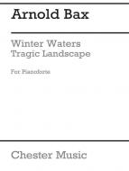 Winter Waters - Tragic Landscape 