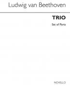 Trio Op.87 