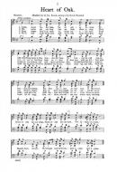 Heart of Oak 