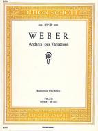 Andante con Variazioni Standard